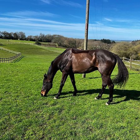 Byre - Farm Cottage On 9 Acre Equestrian Small Holding Salisbury Zewnętrze zdjęcie